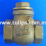 AA Check Valve