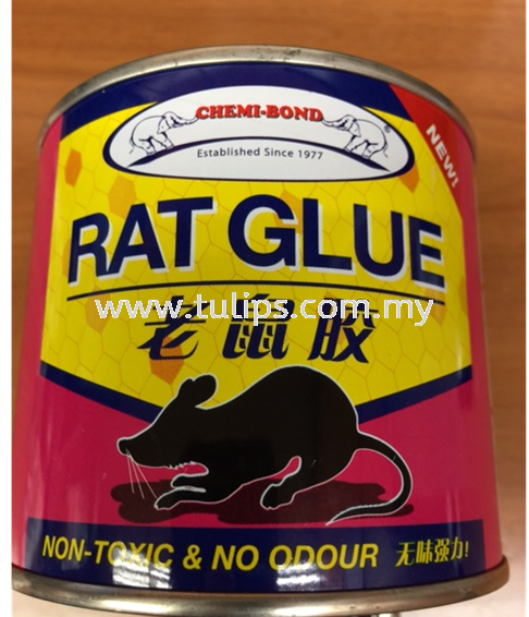 CHEMI-BOND Rat Glue 220 ml Chemical Penang, Malaysia, Penang Street  Supplier, Suppliers, Supply, Supplies | Chew Kok Huat & Son Sdn Bhd