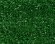 grasscarpet