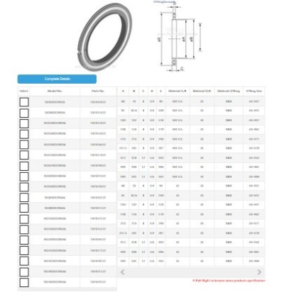 ISO Outer Ring Centering Ring & NBR O'Ring Europe