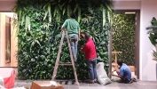  Ballroom Green Wall Service Interior Landscaping Ideas