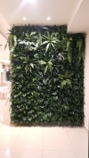  Ballroom Green Wall Service Interior Landscaping Ideas