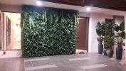  Ballroom Green Wall Service Interior Landscaping Ideas