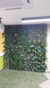  Green Wall Service Interior Landscaping Ideas