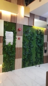  Green Wall Service Interior Landscaping Ideas