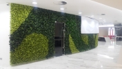  Office Green Wall Service Interior Landscaping Ideas