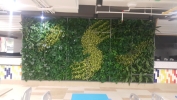  Office Green Wall Service Interior Landscaping Ideas