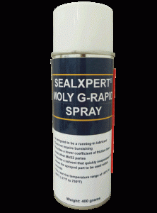 SEALXPERT MOLY G-RAPID SPRAY