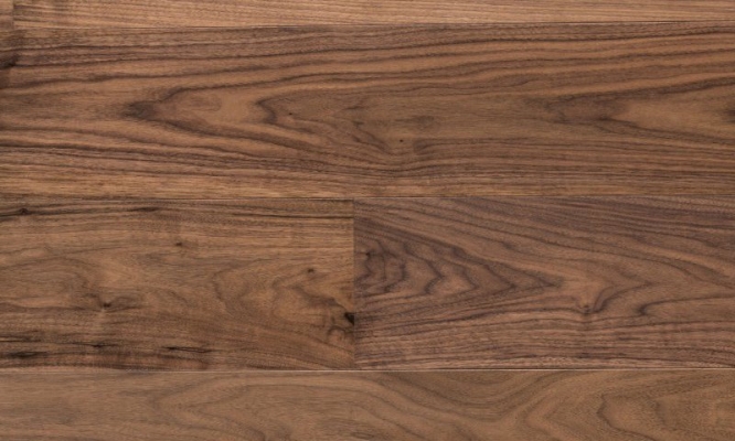 American Walnut