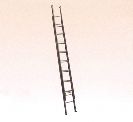 LD29) Aluminium Alloy 2-Extension Ladder