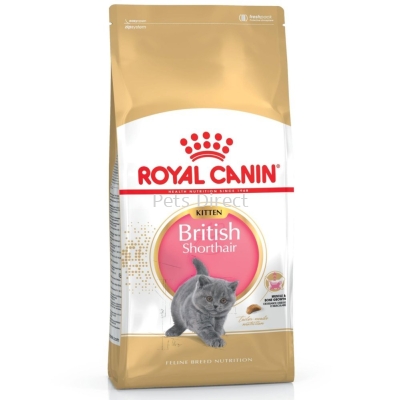Royal Canin British Short Hair Kitten