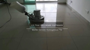 Homogenous Tile Polishing Homogenous Tile Polishing