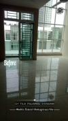 Homogenous Tile Polishing Homogenous Tile Polishing