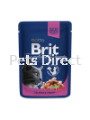 Brit (For Wellness & Beauty) Premium Wet Food Salmon & Trout 100g Brit Premium Cat Pouch (Wet Food)