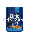 Brit Premium Wet Food Chicken Chunks For Kitten 100g Brit Premium Cat Pouch (Wet Food)