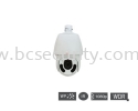 SE25-30X IP HD Centrix CCTV System