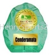 SOUVENIR STAND SS61 GRN Plastic Souvenir Stand Souvenir Stand / Plaque Award Trophy, Medal & Plaque