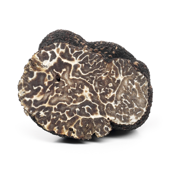 Black Winter Truffle