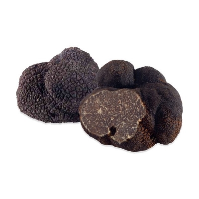 Black Winter Truffle