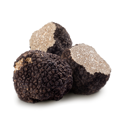 Black Summer Truffle