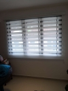  Zebra Blinds