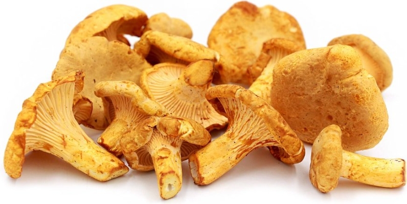 Dried Golden Chanterelles