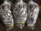 Hand Gloves Hand Glove Hardware Items