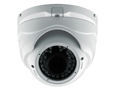 IR Dome Camera (D1080IR)