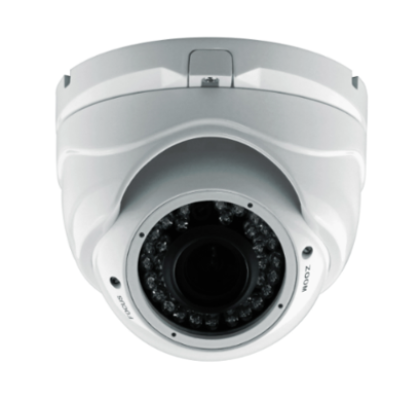 Vandal-proof IR Dome Camera (D1080IR(V))