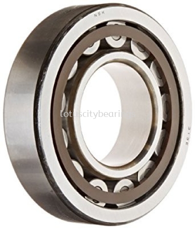 Cylindrical Roller Bearings (Molded Polyamide Cages)