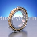 Standard Series of Single-Row Cylindrical Roller Bearings