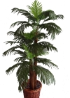 4 Ft Mini Palm (FS026) Artificial Plant (Sell & Rent)