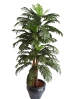 5 Ft Mini Palm (FS028) Artificial Plant (Sell & Rent)