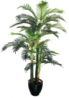 7 Ft Phoenix Palm (FS029) Artificial Plant (Sell & Rent)