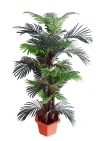 6 Ft Phoenix Palm (FS030) (B) Artificial Plant (Sell & Rent)