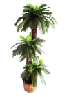 5 Ft Cycus Palm (FS032) (A) Artificial Plant (Sell & Rent)