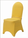 BANQUET CHAIR COVER FNK-YT-03 Others