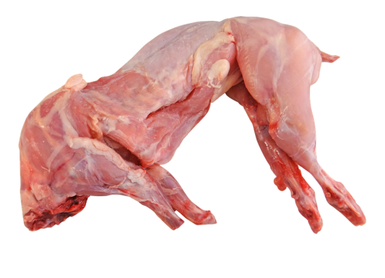 Rabbit Meat 