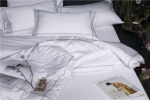 Bed Sheet Bedsheet HOTEL ROOM BEDDING ARTICLES