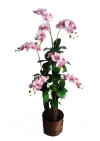 4.5 Ft Orchid Plant (Pink) (FS048) Artificial Plant (Sell & Rent)