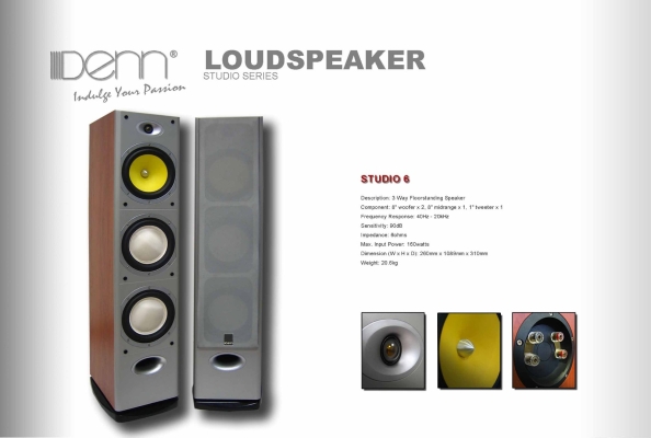 LoudSpeaker