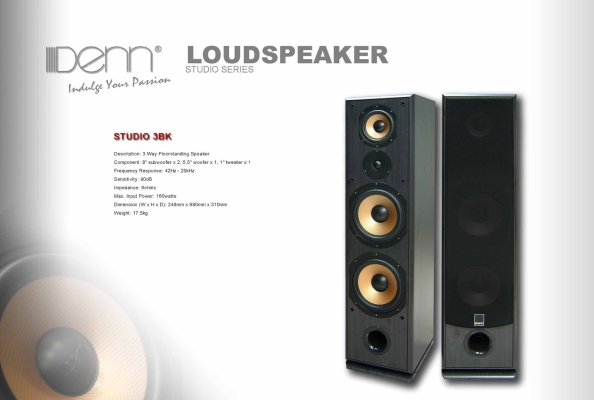 LoudSpeaker