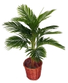 4 Ft Yellow Palm (FS060) Artificial Plant (Sell & Rent)