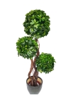 5 Ft Fortune Tree (3H) (FS064) Artificial Plant (Sell & Rent)