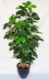 5 Ft Cotton Plant (FS074) Artificial Plant (Sell & Rent)