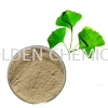 Ginkgo Biloba Extract Powder Herbal Base