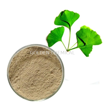 Ginkgo Biloba Extract Powder