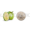 Garcinia Cambogia Extract Powder Herbal Base