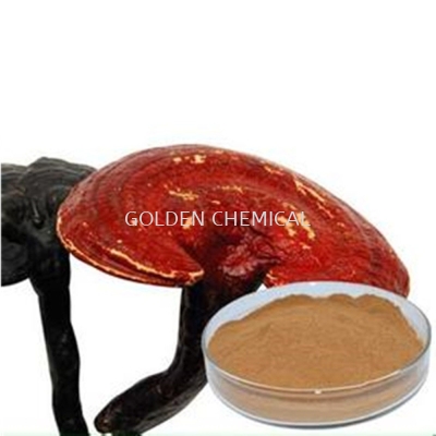 Ganoderma Extract Powder