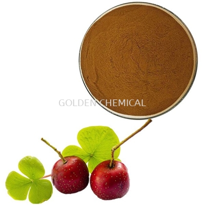 Hawthorn Berry Extract Powder